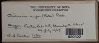 Image Associated With the Occurence